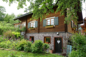 Blick in den Garten